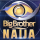 Big Brother Naija